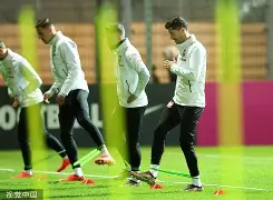 波兰队实力强劲，奥地利队惨遭掠夺的简单介绍