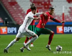 官方网站-捷克队在欧预赛中雄风锐不可挡，胜势如破竹的简单介绍